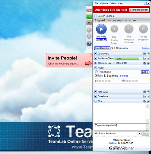 Голоса Teamlab: первый опыт проведения вебинара Голоса Teamlab: первый опыт проведения вебинара