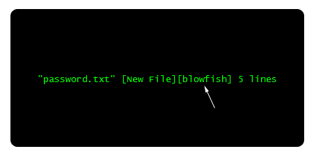 Храним пароли с помощью редактора vim Храним пароли с помощью редактора vim