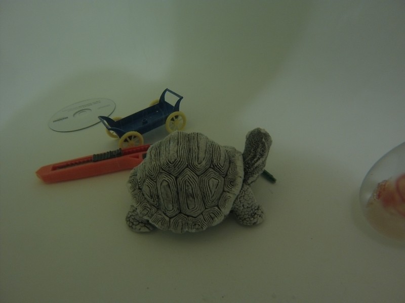 iON Air Pro Wi Fi против GoPro HERO3: White Edition: битва «младших» американцев