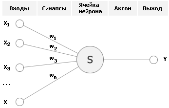 схема нейрона