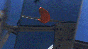 Инженеры NASA сделали установку для съёмки «почти в стиле bullet time» Инженеры NASA сделали установку для съёмки «почти в стиле bullet time»