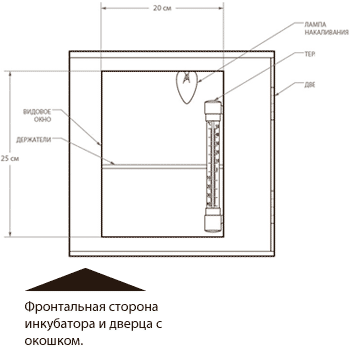 Как установить инкубатор блиц