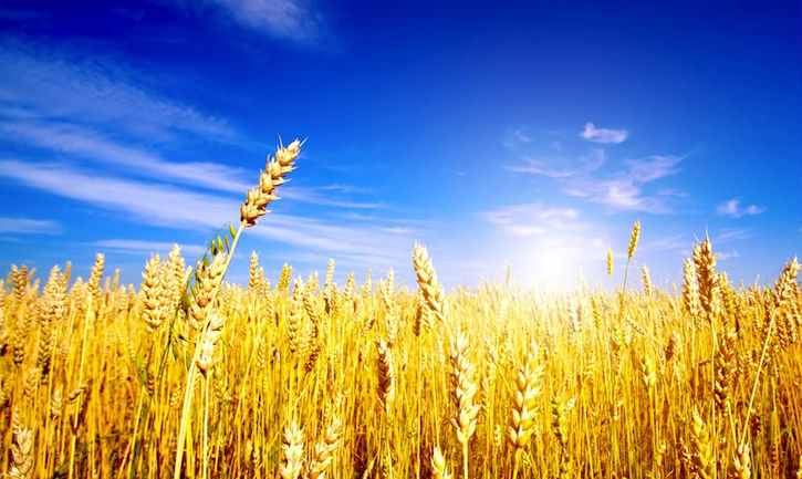 Инструментарий фондового рынка: что такое фьючерсы и как они работают image