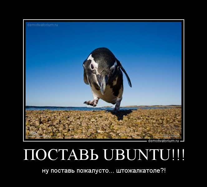 Как Ubuntu помогает сохранить ваш бизнес. Практика внедренца