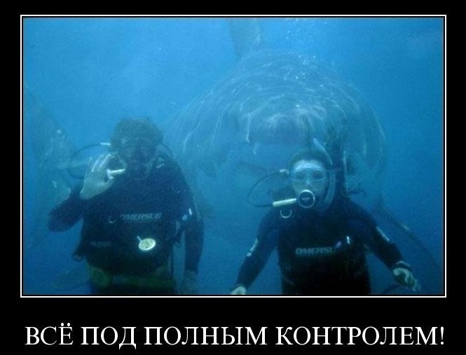 Как Ubuntu помогает сохранить ваш бизнес. Практика внедренца Как Ubuntu помогает сохранить ваш бизнес. Практика внедренца