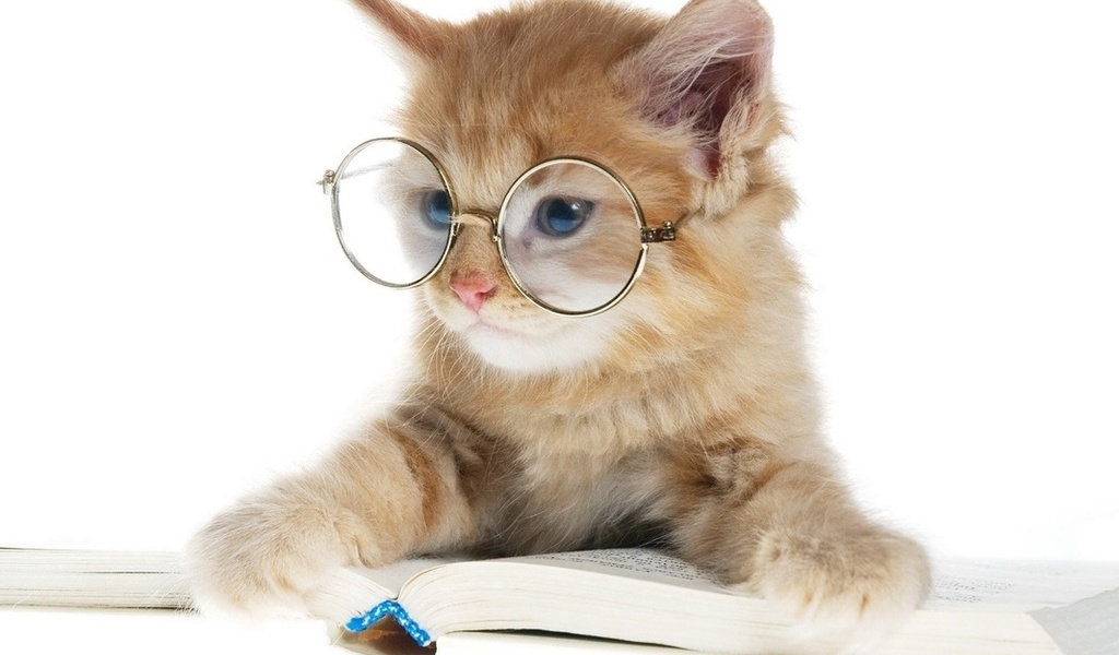 Как мы спасали глаза с OpenCV Как мы спасали глаза с OpenCV