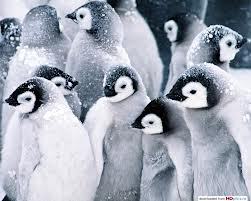 Как обрабатывать терабайты данных в 1000 потоков на PHP — Hadoop/MapReduce