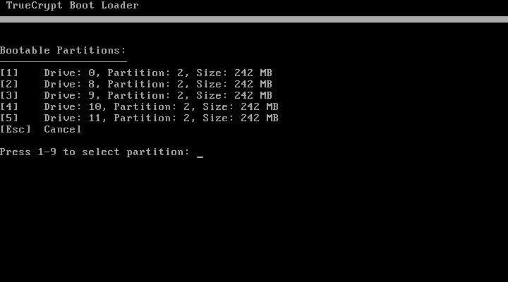 TrueCryptBootLoader's partitions