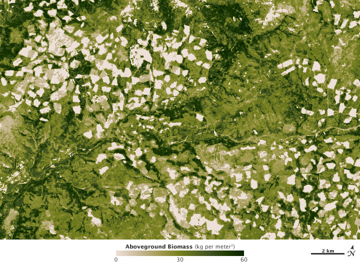 Как разглядеть за деревьями лес: создание трехмерного изображения мировых лесов photo simmon6_zps226a5011.jpg