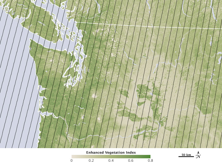Как разглядеть за деревьями лес: создание трехмерного изображения мировых лесов photo allen2_zpsabf02da5.jpg