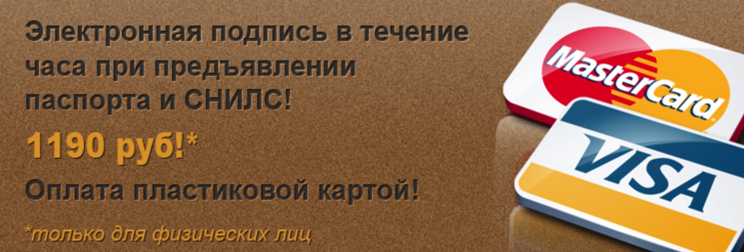 Как сдать налоговую декларацию за 2013 год электронным способом за несколько дней (РФ)