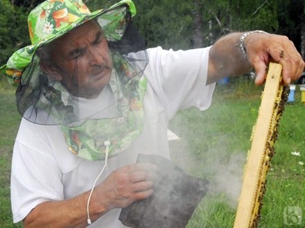 Как умирают софтварные компании