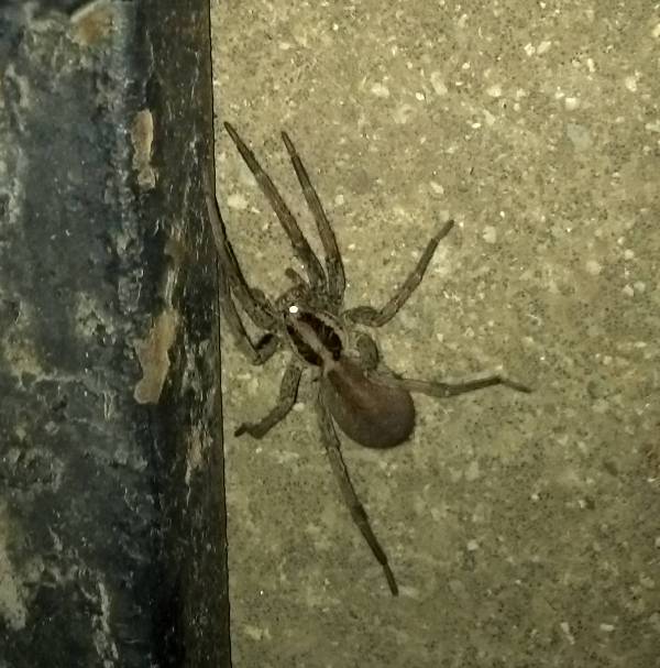 Как я переходил с Motorola Atrix 2 на Samsung Galaxy Note 2