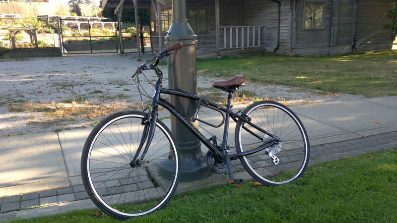 Как я учусь на бакалавриате в Канаде