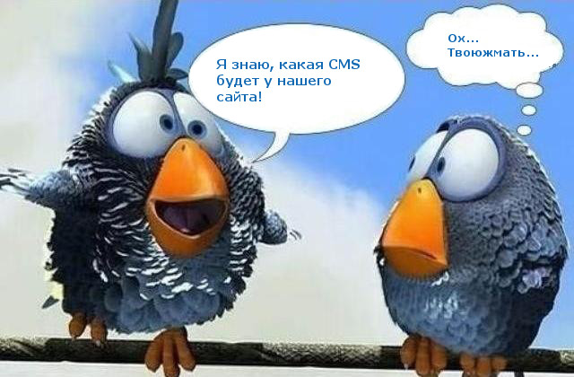 Какая CMS лучше всего подходит для поискового продвижения сайта