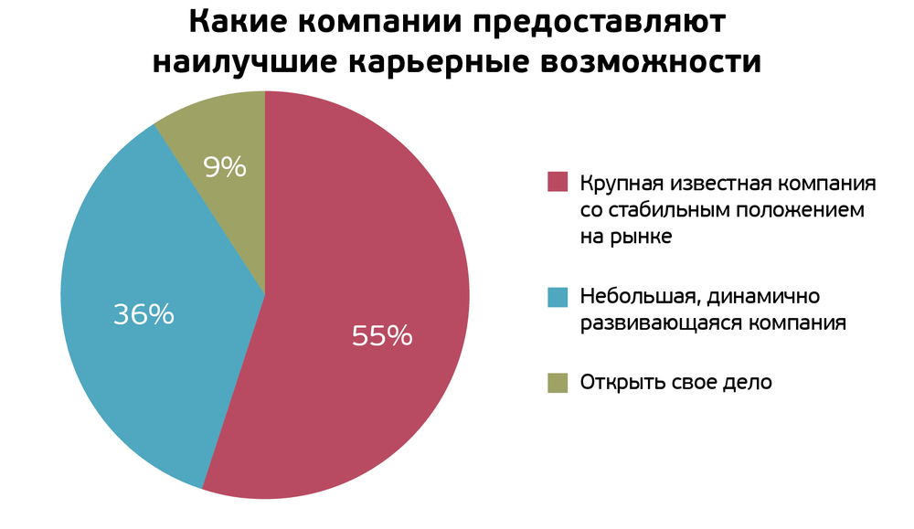 Карьерное исследование в IT: студенты хотят работать в крупных компаниях