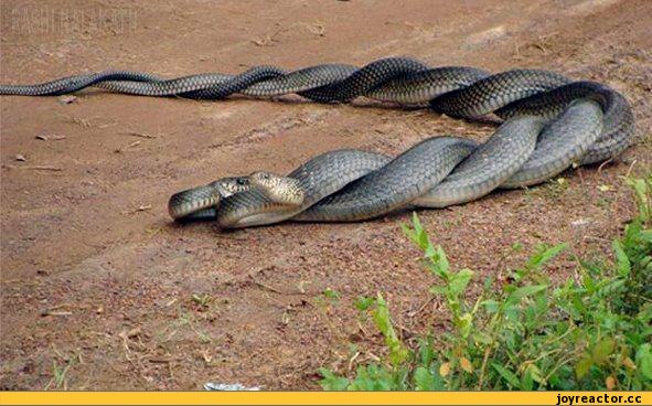 Каверзные сетевые вопросы Каверзные сетевые вопросы