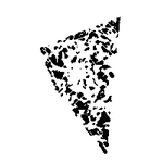 Классификатор изображений Классификатор изображений