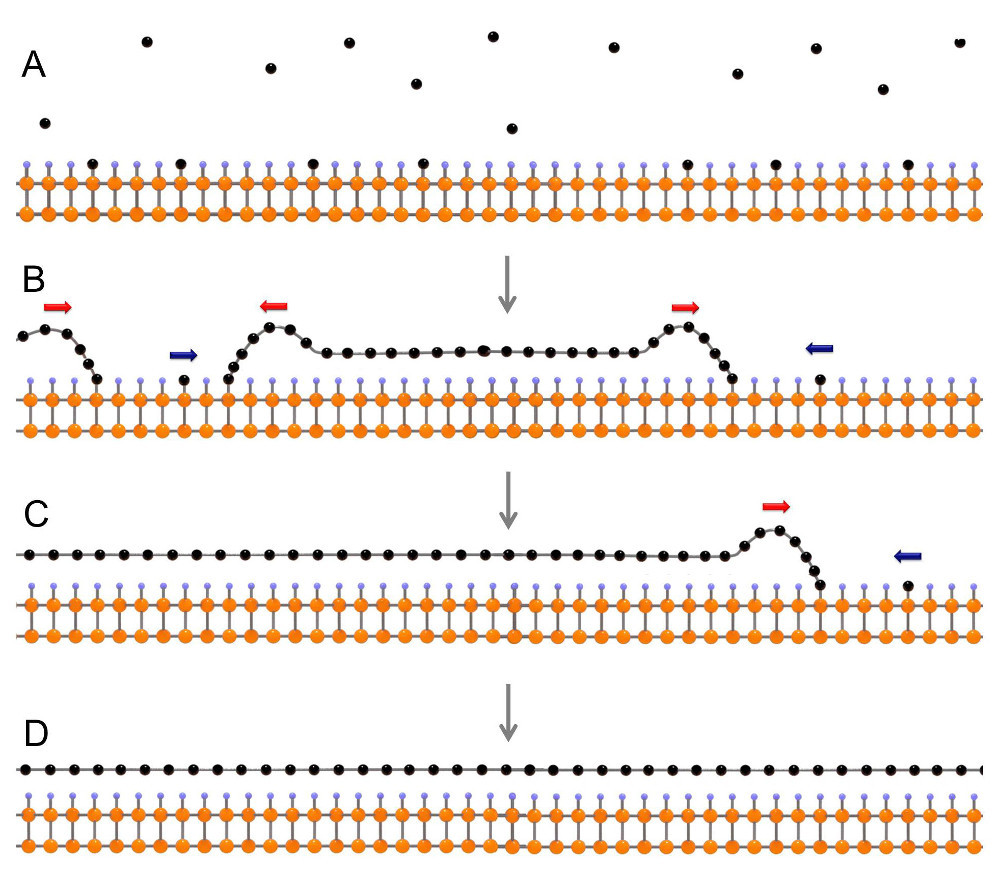 Корейские учёные разработали революционную технологию производства графена Корейские учёные разработали революционную технологию производства графена