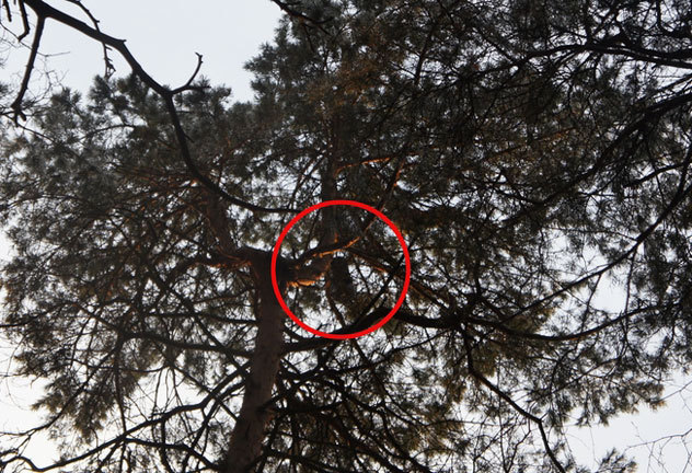 Космическая одиссея HERE или как проводят свои выходные наши сотрудники Космическая одиссея HERE или как проводят свои выходные наши сотрудники