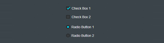 Красивые чекбоксы и радиокнопки на CSS3 без JavaScript
