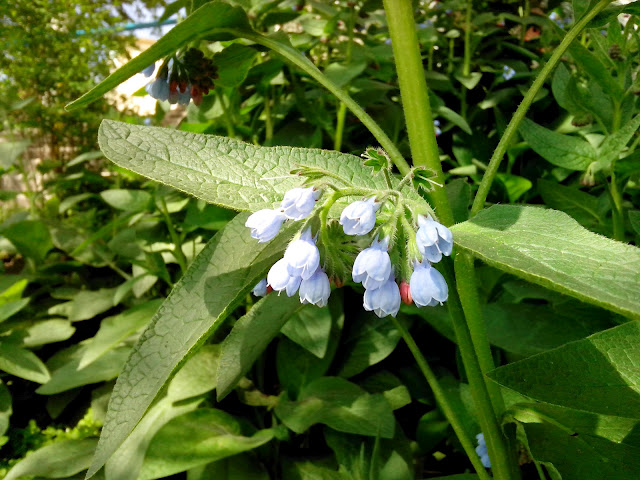 Краткий обзор Zopo ZP100, или как китайцы научились делать телефоны