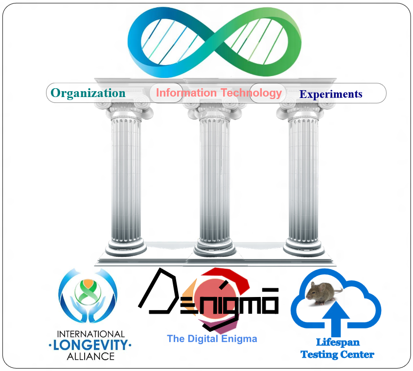 Краудфандинг геронтологии в Украине, или Маленькая мышка, которая хочет жить дольше