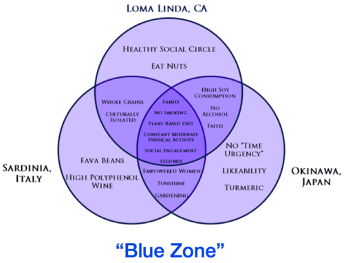 Курс лекций «Стартап». Питер Тиль. Стенфорд 2012. Занятие 16 Курс лекций «Стартап». Питер Тиль. Стенфорд 2012. Занятие 16