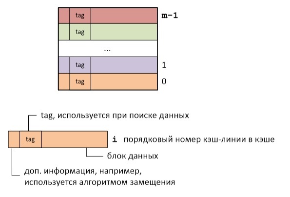 Логическая организация кэш памяти процессора