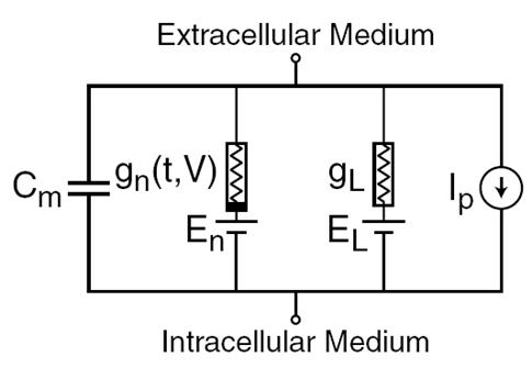 Логика мышления. Часть 1. Нейрон Логика мышления. Часть 1. Нейрон