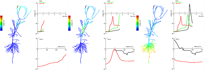 Логика мышления. Часть 13. Ассоциативная память Логика мышления. Часть 13. Ассоциативная память