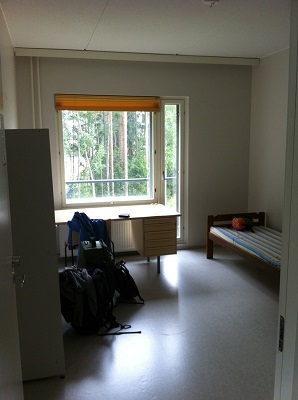 Магистратура в Финляндии — опыт уходящего года Магистратура в Финляндии — опыт уходящего года