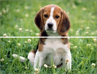 Мail.ru: скрытые возможности Мail.ru: скрытые возможности