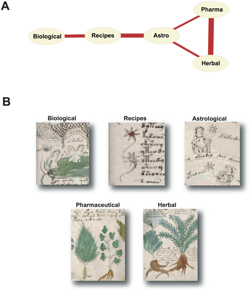 Манускрипт Войнича. Маньчжурский кандидат image