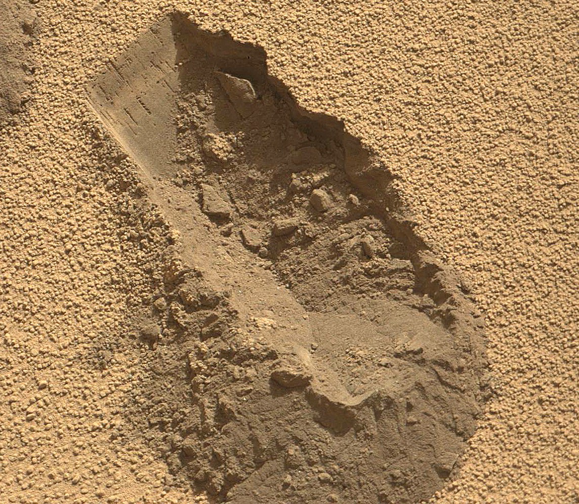 Марсианское попугайство image