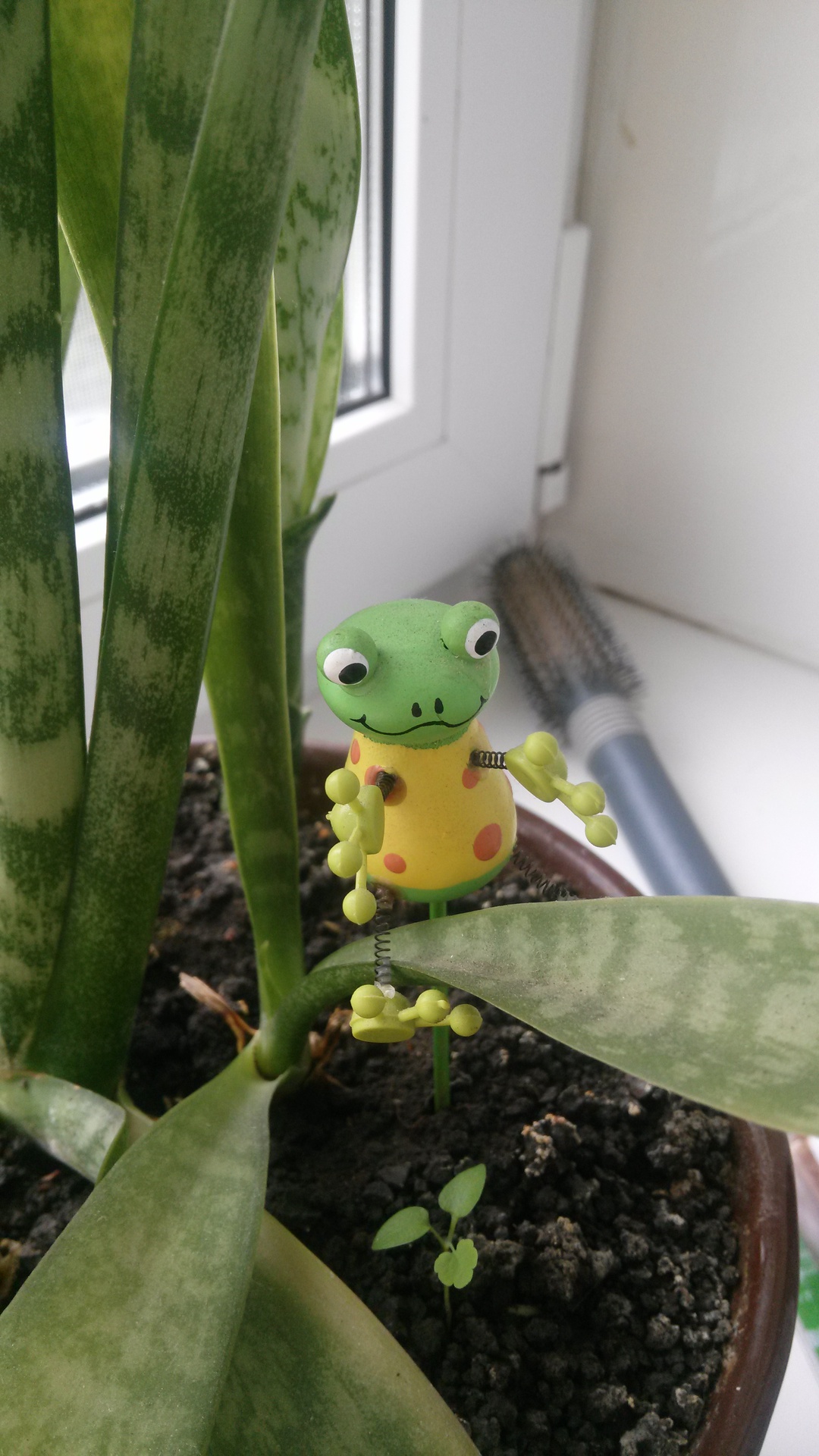 Между Samsung Galaxy S III и OPPO Find 5 (довольно таки подробно о последнем)