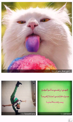 Менеджеры подписок и агрегаторы новостей для Android Менеджеры подписок и агрегаторы новостей для Android