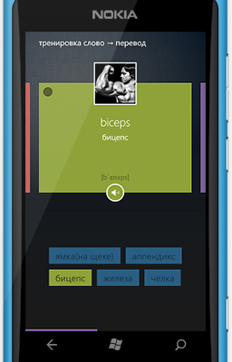 Мобильные апдейты для изучающих английский c LinguaLeo: iPhone, WinPhone и… долгожданный Android!