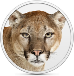 Мои вопросы к Mountain Lion image