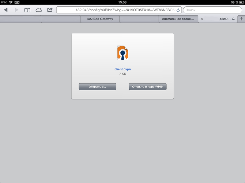 Настраиваем OpenVPN на Linux Servere с авто подключением iOS устройств за 5 минут Настраиваем OpenVPN на Linux Servere с авто подключением iOS устройств за 5 минут