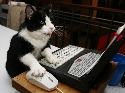 Наступает особый день подготовки к DevConf 2013 — активное голосование за доклады image