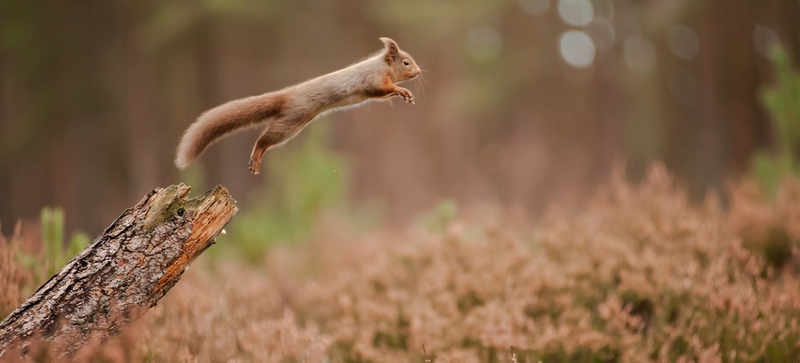 Необходимость правильной постановки цели Необходимость правильной постановки цели