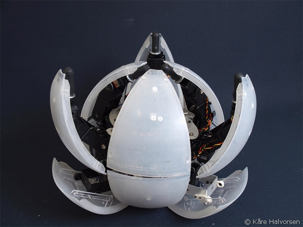 Необычная конструкция робота MorpHex Необычная конструкция робота MorpHex