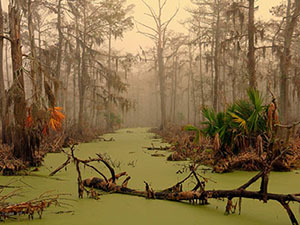 Непрактичные сортировки – бессмысленные и беспощадные image