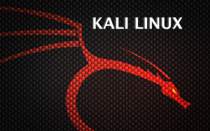 Новый дистрибутив Backtrack: встречайте Kali Linux