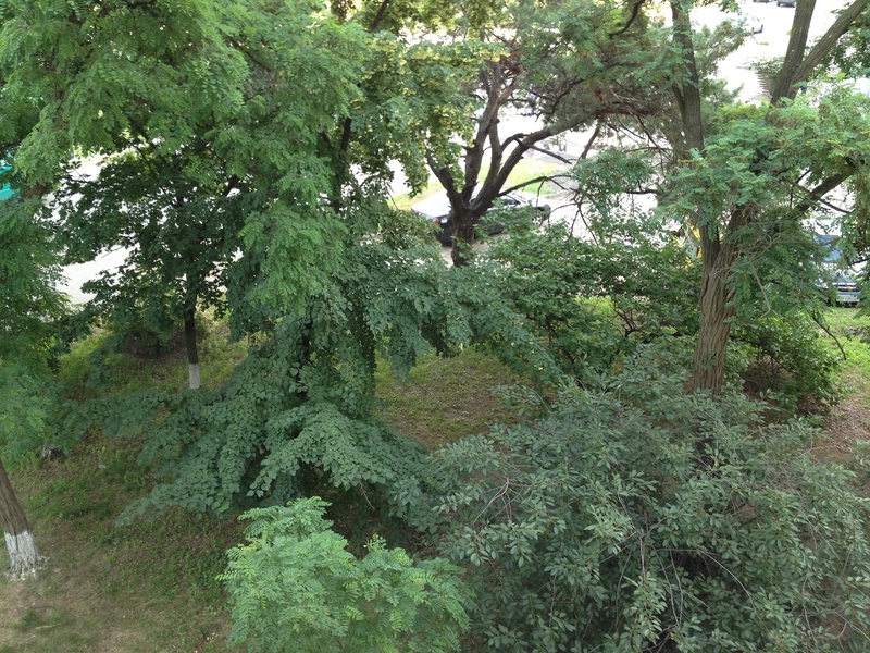 Объектив для iPhone 4/4S, 3 в одном Объектив для iPhone 4/4S, 3 в одном