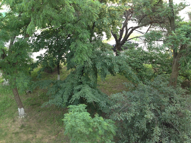 Объектив для iPhone 4/4S, 3 в одном Объектив для iPhone 4/4S, 3 в одном