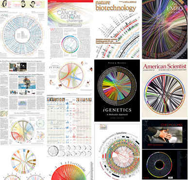 Обзор Circos: круг — это хорошо