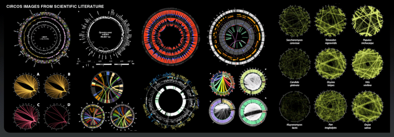 Обзор Circos: круг — это хорошо