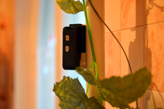 Обзор Highscreen Black Box Connect: если скрестить регистратор с IP камерой Обзор Highscreen Black Box Connect: если скрестить регистратор с IP камерой